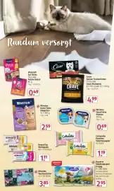Rossmann Prospekt Seite 17