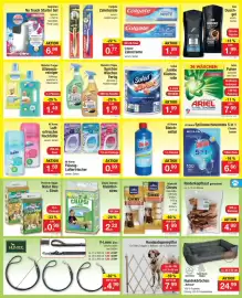 Zimmermann Prospekt woche 23 Seite 11