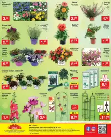 Zimmermann Prospekt woche 23 Seite 12