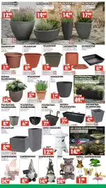 Wreesmann Prospekt Seite 7