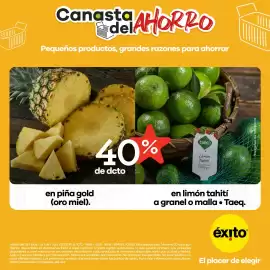 Catálogo Éxito Página 3