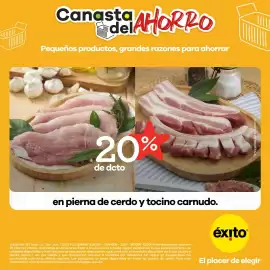 Catálogo Éxito Página 4