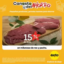 Catálogo Éxito Página 5