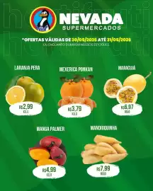 Catálogo Nevada Supermercados Página 2