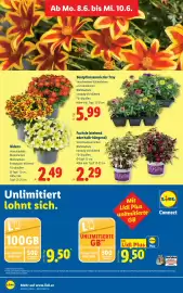 Lidl Flugblatt Seite 35