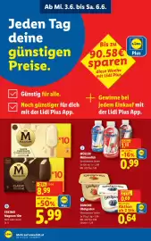 Lidl Flugblatt Seite 4