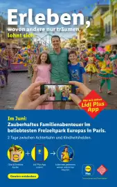 Lidl Flugblatt Seite 6