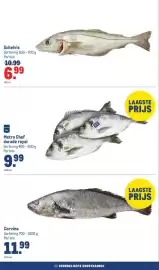 Makro folder Pagina 38