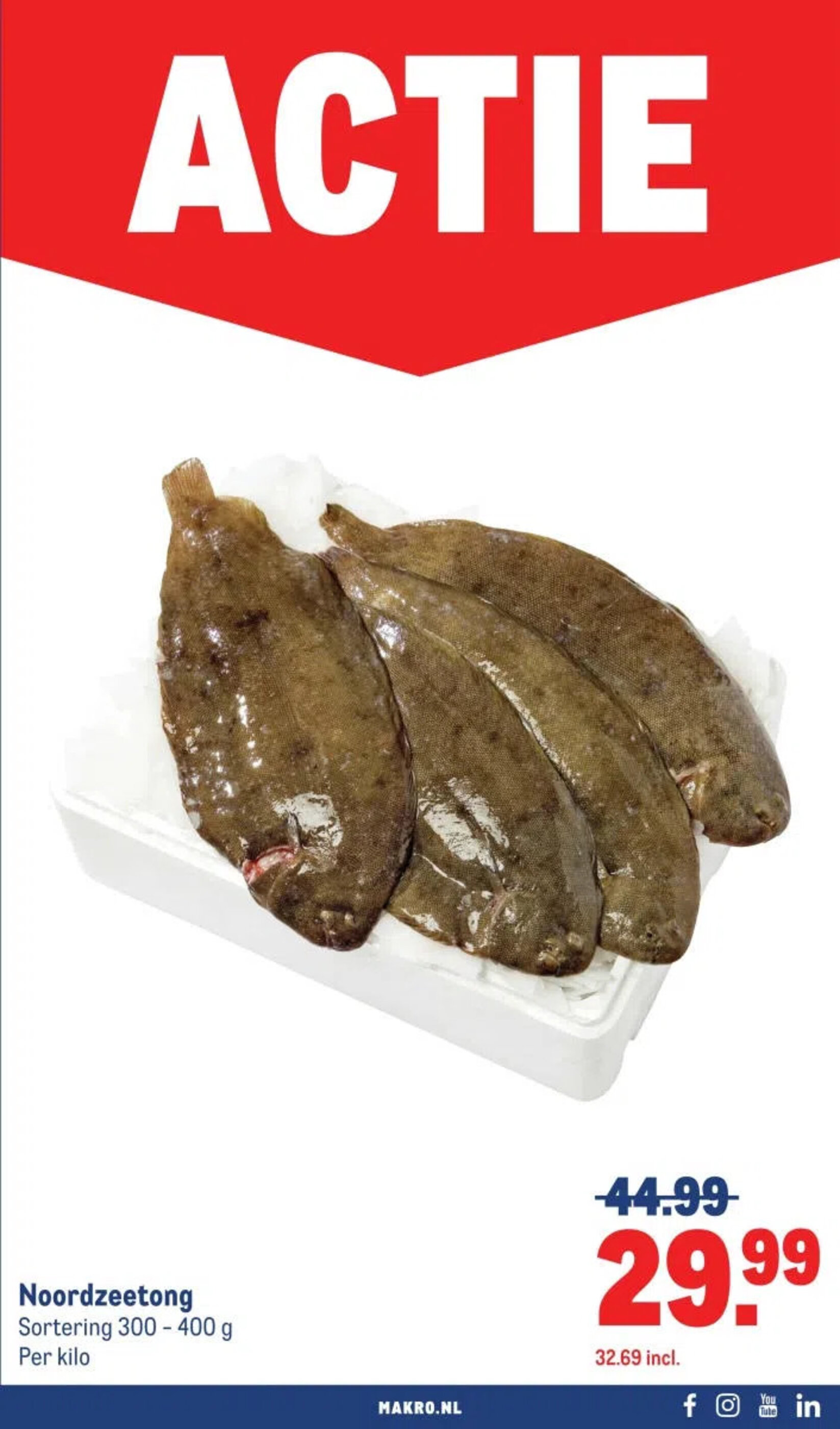 Makro 03/06-16/06 38