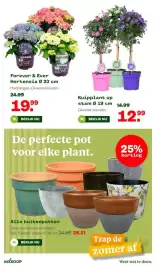 Welkoop folder week 23 Pagina 29