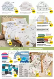 Reiter Flugblatt Seite 2