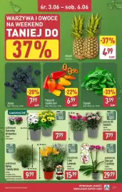 ALDI gazetka tydzień 23 Strona 31