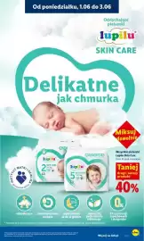 Lidl gazetka Strona 101