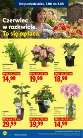 Lidl gazetka Strona 106
