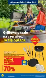 Lidl gazetka Strona 42