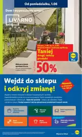 Lidl gazetka Strona 43