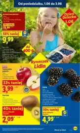 Lidl gazetka Strona 45