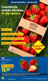 Lidl gazetka Strona 46