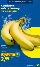 Lidl gazetka Strona 47