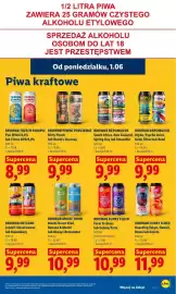 Lidl gazetka Strona 91