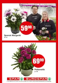 Spar uke 23 Side 14