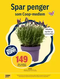 Coop Prix kundeavis uke 23 Side 13