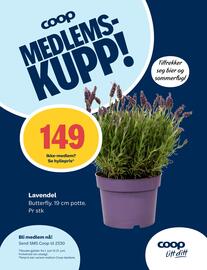 Matkroken kundeavis uke 23 Side 10