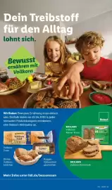 Lidl Prospekt Seite 13
