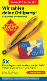 Lidl Prospekt Seite 25