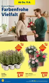Lidl Prospekt Seite 68
