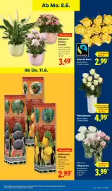Lidl Prospekt Seite 69
