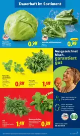 Lidl Prospekt Seite 7