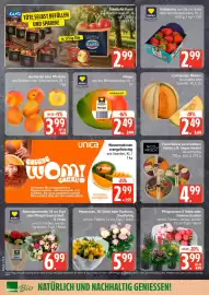 Marktkauf Prospekt Seite 8