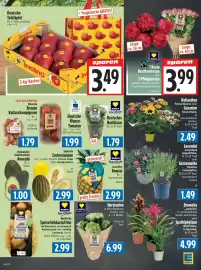 EDEKA Hahner Prospekt Seite 9