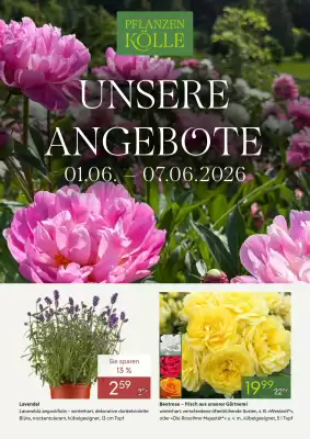 Pflanzen Kölle (gültig bis 7-06)