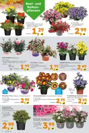 Globus Baumarkt Prospekt Seite 2
