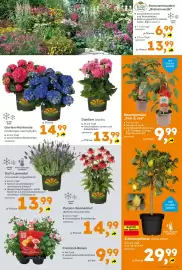 Globus Baumarkt Prospekt Seite 3
