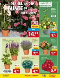 Netto Marken-Discount DE folder week 23 Pagina 7