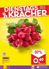 Netto Marken-Discount DE folder week 23 Pagina 8
