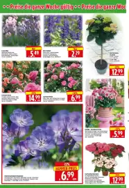 Herkules Baumarkt Prospekt woche 23 Seite 2