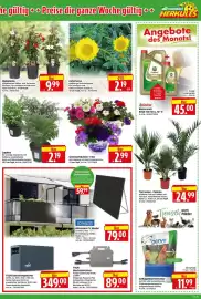 Herkules Baumarkt Prospekt woche 23 Seite 5
