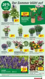 Toom Baumarkt Prospekt woche 23 Seite 5