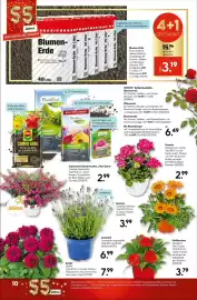 Hellweg Prospekt woche 23 Seite 14