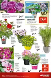 Hellweg Prospekt woche 23 Seite 15