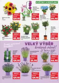 Kaufland leták týden 23 Strana 13