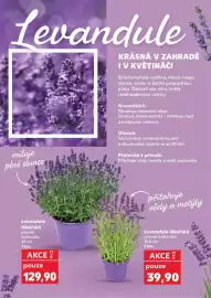 Kaufland leták týden 23 Strana 9