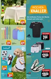 REWE Center Prospekt woche 23 Seite 29