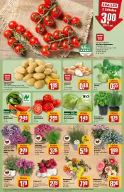 REWE Center Prospekt woche 23 Seite 5
