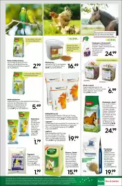 BayWa Bau & Garten Prospekt woche 23 Seite 13