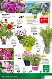 BayWa Bau & Garten Prospekt woche 23 Seite 15